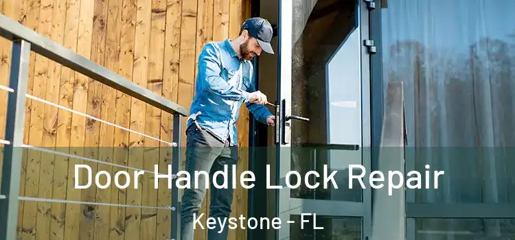 Door Handle Lock Repair Keystone - FL