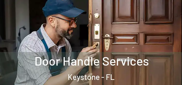 Door Handle Services Keystone - FL