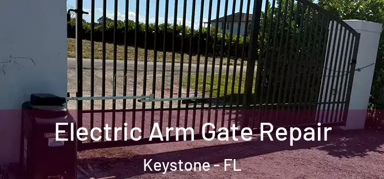 Electric Arm Gate Repair Keystone - FL