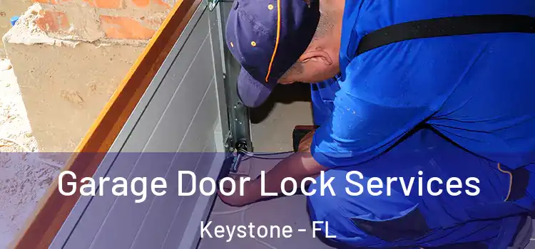 Garage Door Lock Services Keystone - FL