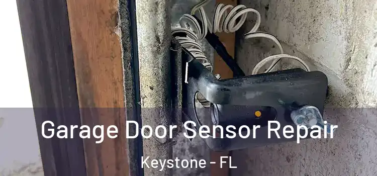 Garage Door Sensor Repair Keystone - FL