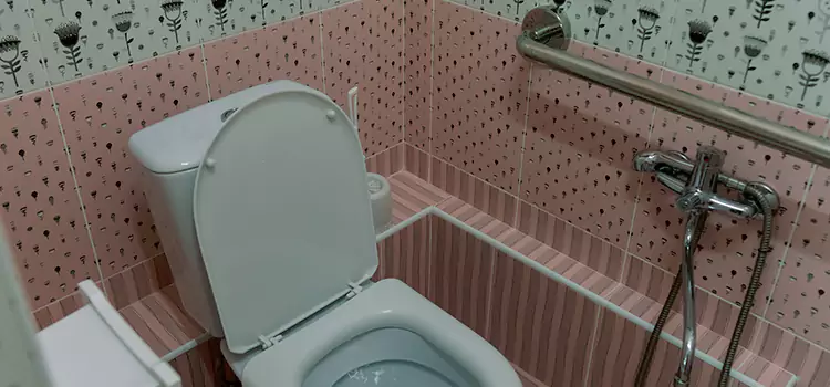 Meeting Diverse Needs With Accessible Restroom Solutions in Keystone, FL