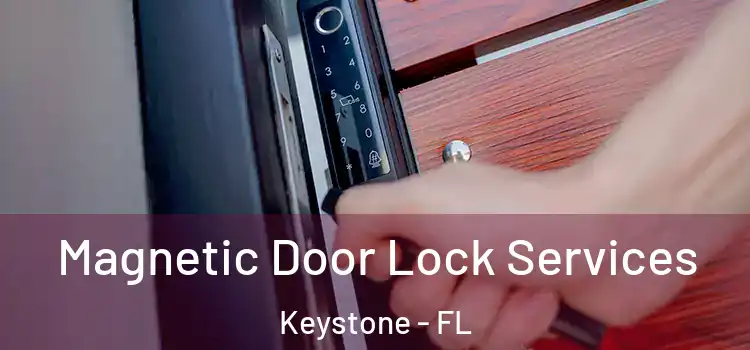 Magnetic Door Lock Services Keystone - FL