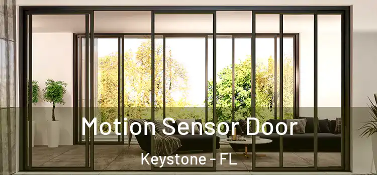 Motion Sensor Door Keystone - FL