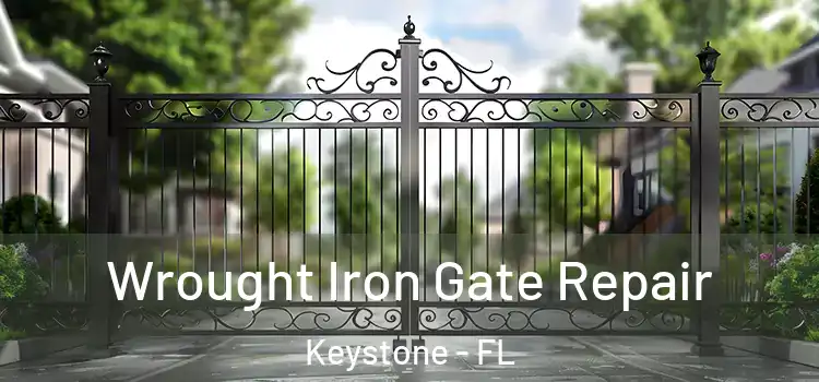 Wrought Iron Gate Repair Keystone - FL